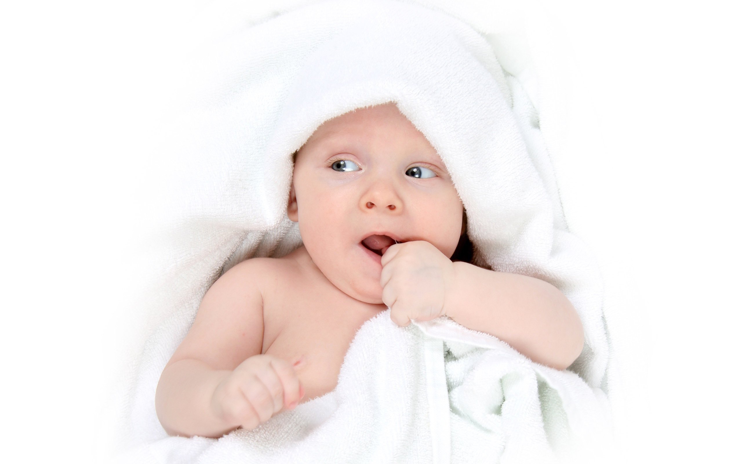供卵助孕试管婴儿促排卵泡标准